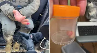 ICE karşıtı protestolarda şoke eden iddia: Görevlinin parmağını ısırarak kopardılar