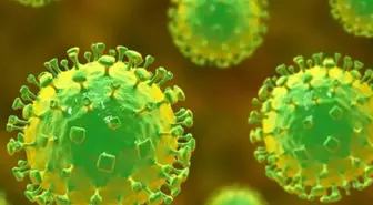 Hızla yayılan virüs için Türk uzmandan endişe veren uyarı