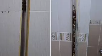 Öğrencilere kiraya verdiği eve giren kadın, gördüğü manzara karşısında sinir krizi geçirdi