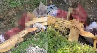 Sakarya'da çalılık alana hayvan kemiği attığı tespit edilen 2 şüpheli yakalandı