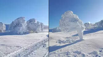 Görüntüler İstanbul'un yanı başından