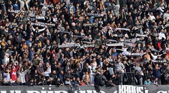 112 yıllık koca çınarın 6 puanı silinecek