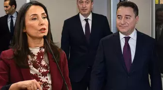 DEM Parti heyetinden Babacan'a ziyaret! Tülay Hatimoğulları'ndan bir çağrı var