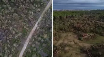 Antalya'da hortumun zarar verdiği ormanlık alan havadan görüntülendi