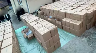 Sırbistan'da uyuşturucuya tarihi darbe: 5 ton esrar ele geçirildi