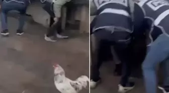 Saklandığı kümeste öksürünce yakayı ele verdi