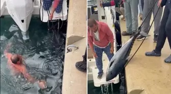 Soğuk engel olmadı, buz gibi suya girip 1.5 metrelik orkinos avladı