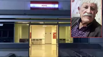 Kan donduran olay! Yaşlı adamın kesik başı ormanda bulundu