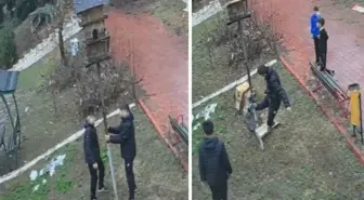 Parktaki kuş yuvasına zarar veren çocuklara ev hapsi