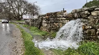 Uzun yıllardır böylesi yaşanmıyor! Sular taşların arasından fışkırdı