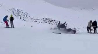 Bingöl'de kayak merkezinde feci kaza: 6 yaralı