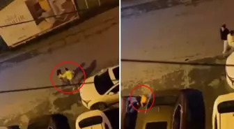 Dehşete düşüren görüntü: 'Yapma, o kız' dese de dinlemedi