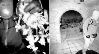 Ünlü sunucunun annesi Nancy Guthrie'nin kaybolmasına ilişkin soruşturmada bir kişi gözaltına alındı