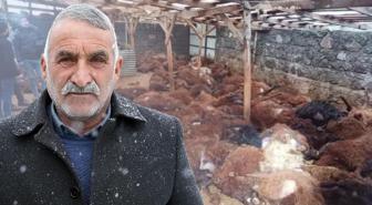 Bir gecede 200 koyunu telef olan vatandaşı duygulandıran bağış