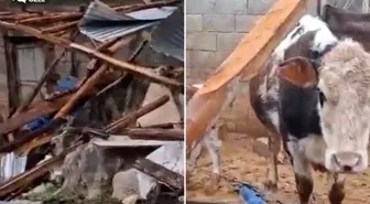 Kenti hortum vurdu! Besici ve üreticilerin kaybı büyük