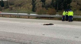 Osmaniye'de otoyolda temizlik yaparken otomobilin çarptığı 4 işçiden biri öldü