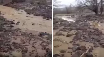 Sağanak yağış tarımı alt üst etti! Binlerce dönüm arazi sular altında