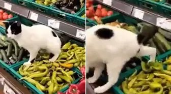 Zincir markette hijyen skandalı: İşedi resmen