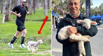 Parkura atlayan kuzu yarışmaya renk kattı: İnsanın vegan olası geliyor