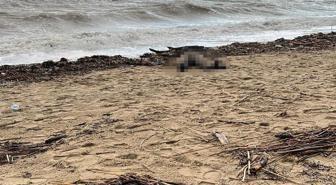 Sarımsaklı Sahili'ne kadın cesedi vurdu