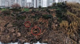 Akılalmaz ama gerçek! Falezleri dahi işgal ettiler