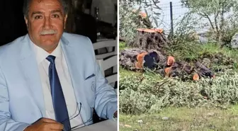 Zeytin ağaçlarını kesen ve görevinden istifa eden Kılbey'e para cezası
