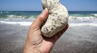 Sahillerde milyarlık hazine! Gören sıradan bir taş sanıyor, bulan köşeyi dönüyor