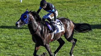 '100 milyonluk yarış atları kayıp' iddiasına açıklama geldi