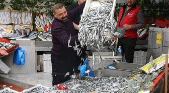 Hamsinin fiyatı 50 liraya düştü, tezgahlarda kuyruk oluştu