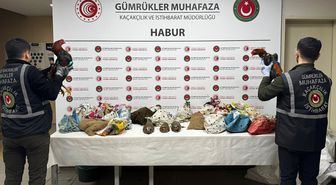 Şırnak'ta 40 adet kanatlı hayvan ele geçirildi