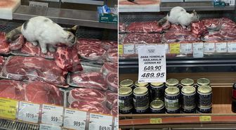 Yine zincir market yine mide bulandıran görüntüler