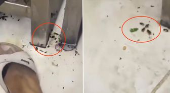 Her gün yüzlerce kişinin gittiği restoranda mide bulandıran görüntüler