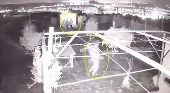 Hobi bahçesine giren 3 çocuk, 25 güvercini çalıp kaçtı