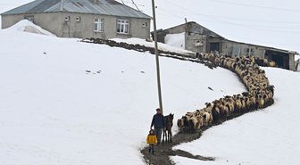 Bu köyün tek sakini onlar! 9 yıldır 3 metre karın altında 'nöbet' tutuyorlar
