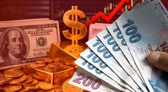 Dolar, TL karşısında tarihi zirveye ulaştı