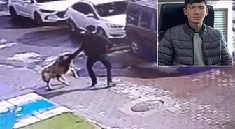Daha 16 yaşındaydı! Köpekten kaçarken canından oldu