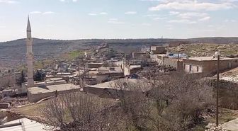 İnekteki kuduz şüphesi nedeniyle mahalle karantinaya alındı