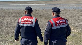 Jandarma flamingolar için 24 saat mesaide