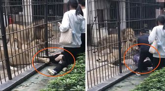 Çin'de dehşet anları: Aslan 10 yaşındaki kızın bacağını yakaladı