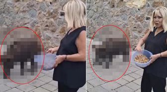 Safiye Soyman kapısına dayanan domuzu elleriyle besledi