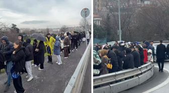 Yağmura çamura aldırmadılar! Ne kuyruğu olduğunu tahmin edemezsiniz