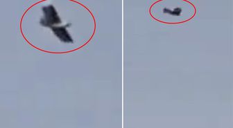 İran üzerinde kuş görünümlü insansız hava aracı görüntülendi