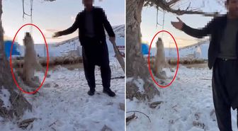Çok yediğini iddia ettiği köpeğini ağaca asıp öldürdü