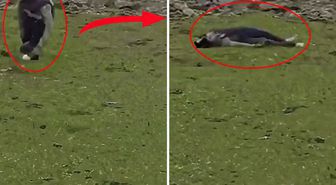 İsrail'den Suriye topraklarına baskın! Sivillere ateş açtılar