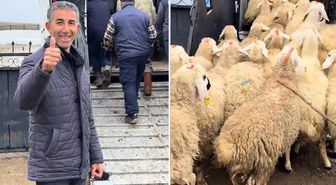 Koyun satın alırken Türkiye'de bir ilki gerçekleştirdi