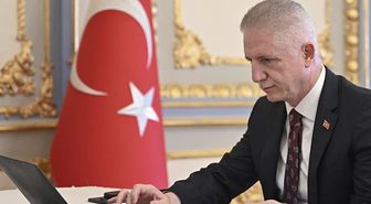 İstanbul Valiliği'nden belediyelere 'sahipsiz köpek' talimatı