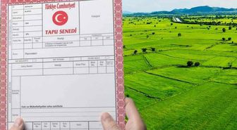 Tarım arazilerinin korunması ve kullanılmasına ilişkin esaslar düzenlendi