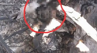 İran'dan düşürülen askeri uçakta ABD askerine ait vücut parçasının tespit edildiği iddiası