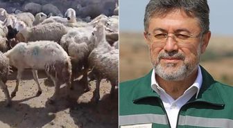 'Örnek üreticiye' bakanlıktan mera yanıtı