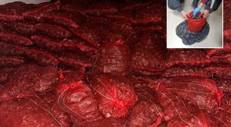 Halk sağlığını hiçe saydılar: 10 ton kaçak midye ele geçirildi